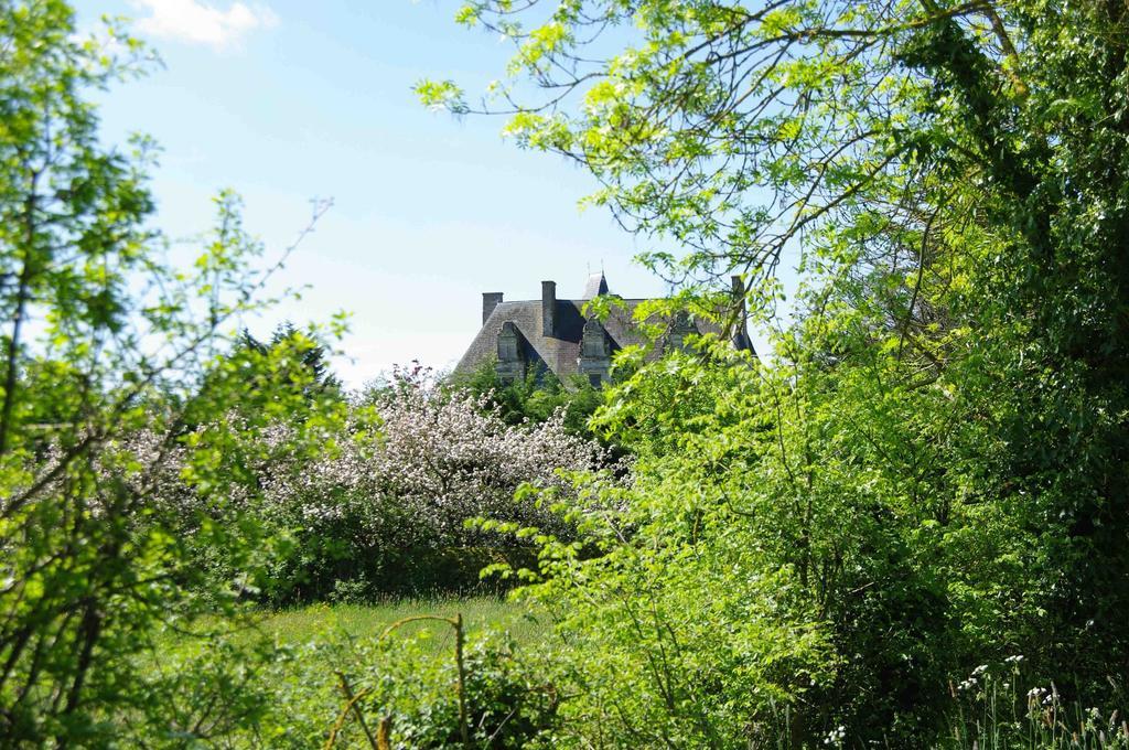 Chateau De Vermette Hotel La Chapelle-Gaudin Exterior photo